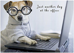 Select a verse, write your own, or order blank. Custom Office Dog D2289D-V